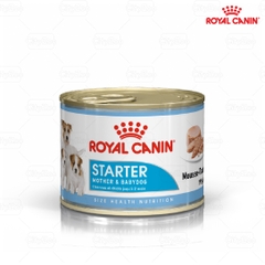 Pate cho chó Royal Canin Starter Mousse lon 195g