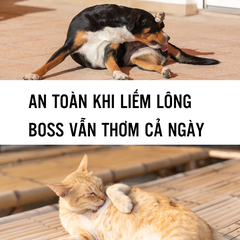 BodyMist Chó mèo Ecopets hương lavender 20ml