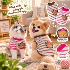 Áo thun sọc phối dây đeo gấu Teddy