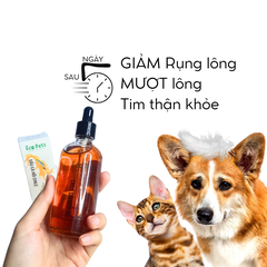 Dầu cá hồi Chile 100ml