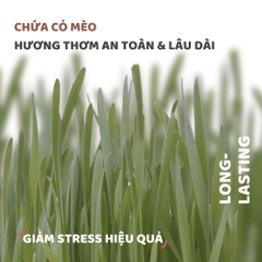 Đồ chơi cho mèo Vịt cao bồi - Set 6 cái FOFOS