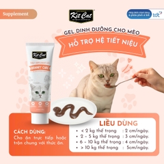 Gel dinh dưỡng Kit Cat hỗ trợ hệ tiết niệu cho mèo 120g