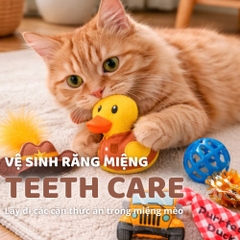 Đồ chơi cho mèo Vịt cao bồi - Set 6 cái FOFOS