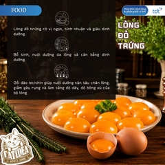 PATE GÓI CATIDEA 35G_THỊT CÚT + LÒNG ĐỎ TRỨNG + DẦU NHUYỄN THỂ