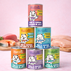 Pate cho mèo Hello Cat lon 400g