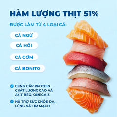 Thức ăn hạt cho mèo mọi lứa tuổi MR.VET T3 Mix 4 Loại Cá 1kg