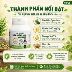 ECO DERMA ( VIÊN DƯỠNG LÔNG 200V)