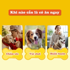 Bánh quy sữa cho chó DoggyMan 580g