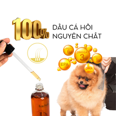 Dầu cá hồi Chile 100ml