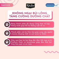 Gel dinh dưỡng Kit Cat hỗ trợ búi lông cho mèo 120g