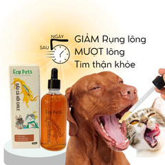 Dầu cá hồi Chile 100ml