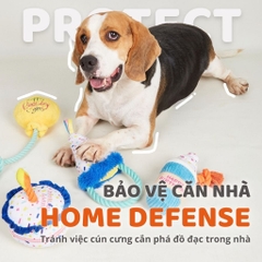 Đồ chơi thú bông cho chó hình bánh sinh nhật FOFOS