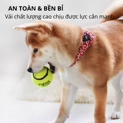 Đồ chơi bóng Tennis FOFOS