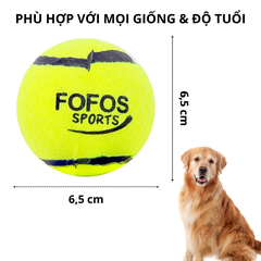 Đồ chơi bóng Tennis FOFOS