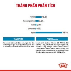 Pate cho chó Royal Canin Starter Mousse lon 195g