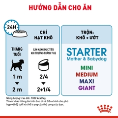 Pate cho chó Royal Canin Starter Mousse lon 195g