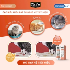 Gel dinh dưỡng Kit Cat hỗ trợ hệ tiết niệu cho mèo 120g