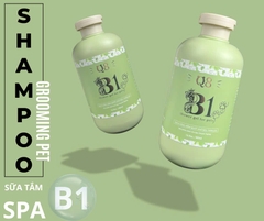 Sữa tắm B1 - Dt 500ml - Q8