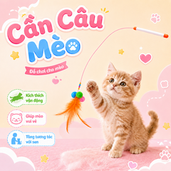 Cần câu mèo Cat Teaser