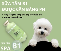 Sữa tắm B1 - Dt 500ml - Q8