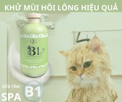 Sữa tắm B1 - Dt 500ml - Q8
