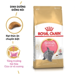 Thức ăn hạt cho mèo Royal Canin - British Shorthair Kitten 400g