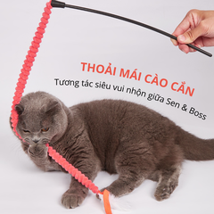 Cần câu mèo co giãn FOFOS