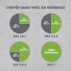 NT Infusion cho Chó con - Thịt gà và rau củ quả tự nhiên (Dưới 12 tháng tuổi)