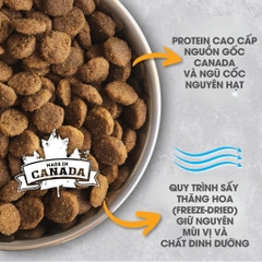 NT Infusion Chó kích thước vừa và lớn trưởng thành (Trên 10kg) - Thịt gà và rau củ quả tự nhiên