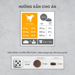 NT Infusion Chó kích thước vừa và lớn trưởng thành (Trên 10kg) - Thịt gà và rau củ quả tự nhiên