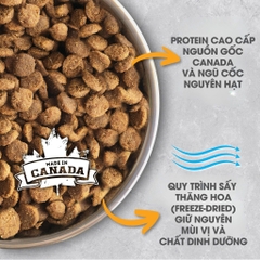 NT Infusion cho Chó nhỏ trưởng thành - Thịt gà và rau củ quả tự nhiên