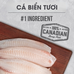 NT Infusion cho Mèo trưởng thành - Cá biển và rau củ quả tự nhiên