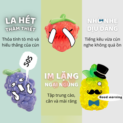Đồ chơi cắn gặm hình trái dâu FOFOS (Không Âm Thanh)