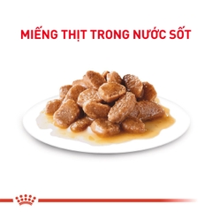 Pate cho chó Royal Canin Mini Adult 85g