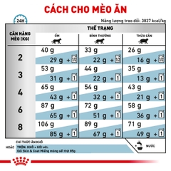 Thức ăn hạt cho mèo Royal Canin - Skin & Coat Feline 400g