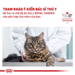 Thức ăn hạt cho mèo Royal Canin - Skin & Coat Feline 400g