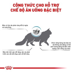 Thức ăn hạt cho mèo Royal Canin - Skin & Coat Feline 400g