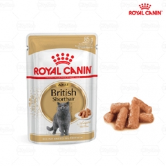 Pate cho mèo Royal Canin British Shorthair 85g