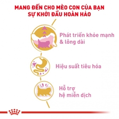 Thức ăn hạt cho mèo Royal Canin - Persian Kitten 400g
