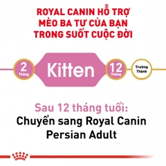 Thức ăn hạt cho mèo Royal Canin - Persian Kitten 400g