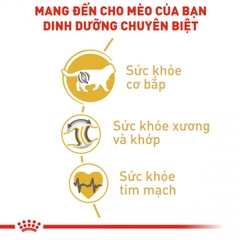 Thức ăn hạt cho mèo Royal Canin - British Shorthair Adult 400g