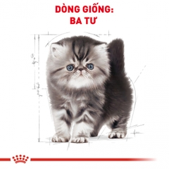 Thức ăn hạt cho mèo Royal Canin - Persian Kitten 400g