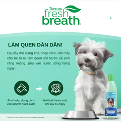 Nước vệ sinh răng miệng TropiClean Fresh Breath dành cho chó 236ml