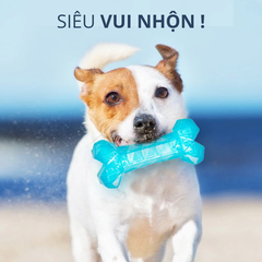 Đồ chơi cho chó xương gặm làm lạnh FOFOS