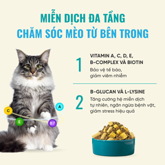 Thức ăn hạt cho mèo mọi lứa tuổi BITE OF WILD F42 Mix 6 Loại Cá 1kg
