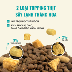 Thức ăn hạt cho mèo mọi lứa tuổi BITE OF WILD F42 Mix 6 Loại Cá 1kg