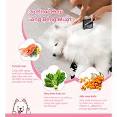 Thức ăn cho chó Natural Core ECO6 Tiêu Hóa Nhạy Cảm (vị Cá Hồi) 1kg