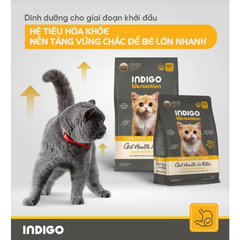 Thức ăn dinh dưỡng cho Mèo Con INDIGO Tăng Cường Tiêu Hóa 2kg