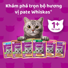 Pate mèo trưởng thành Whiskas Adult vị Cá Thu 80g
