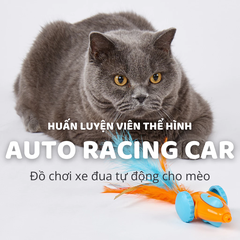 Đồ chơi xe đua tự động cho mèo FOFOS